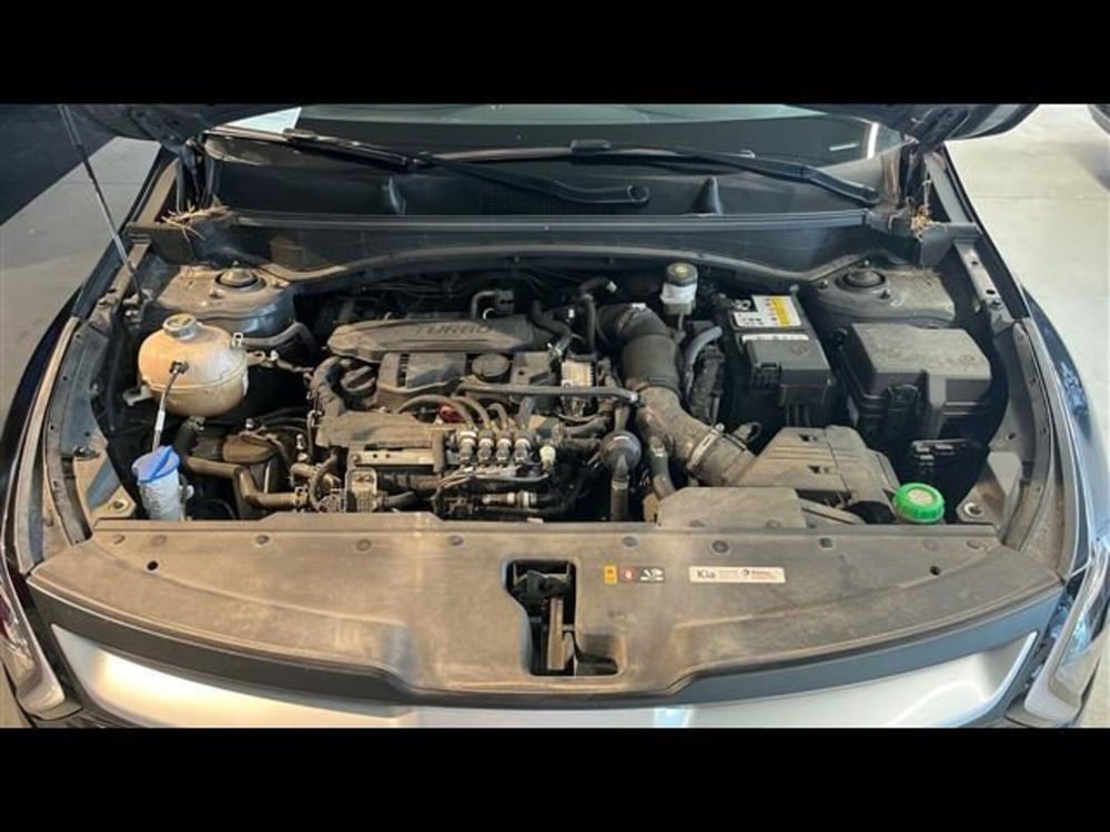Kia Sportage usata a Firenze (15)