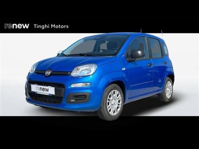 Fiat Panda 1.0 firefly hybrid s&amp;s 70cv 5p.ti del 2025 usata a Empoli