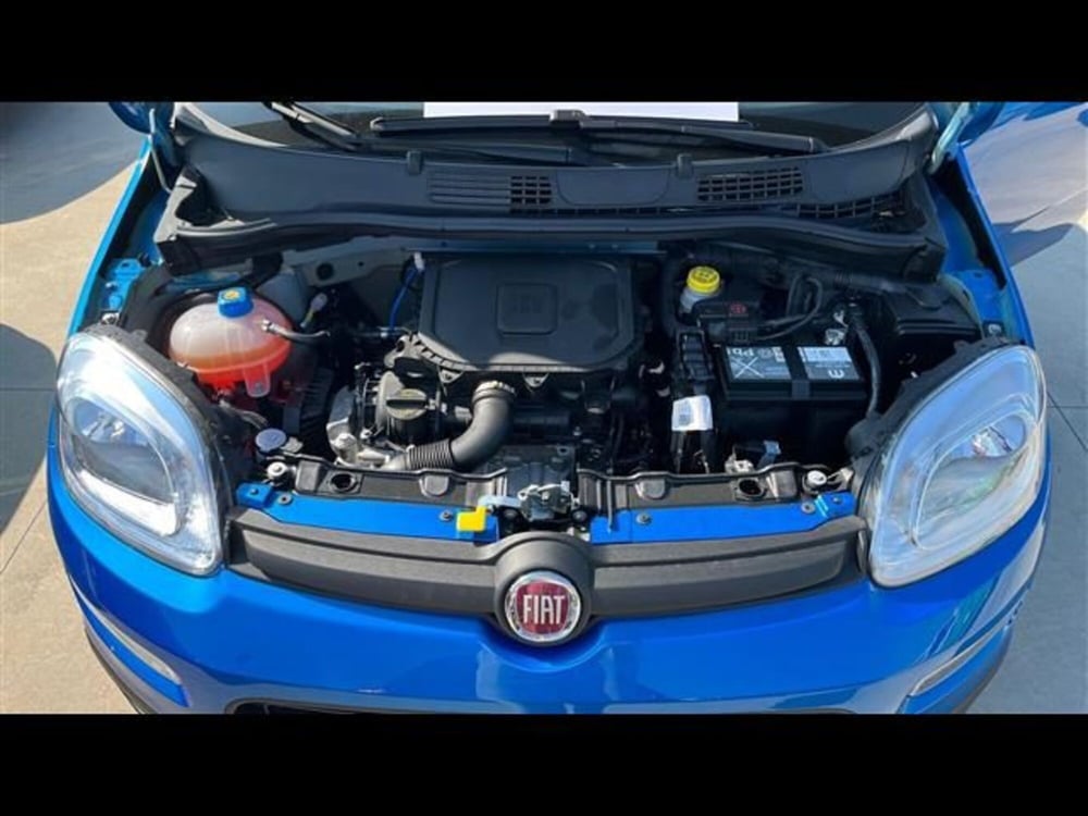 Fiat Panda usata a Firenze (15)