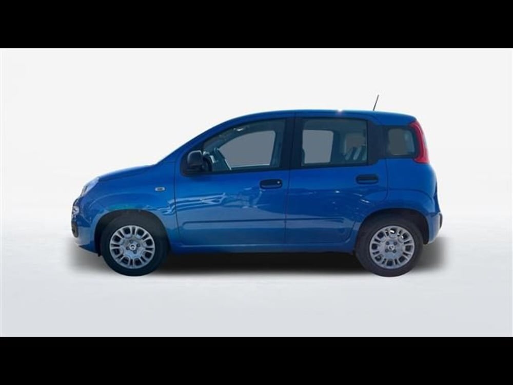 Fiat Panda usata a Firenze (3)