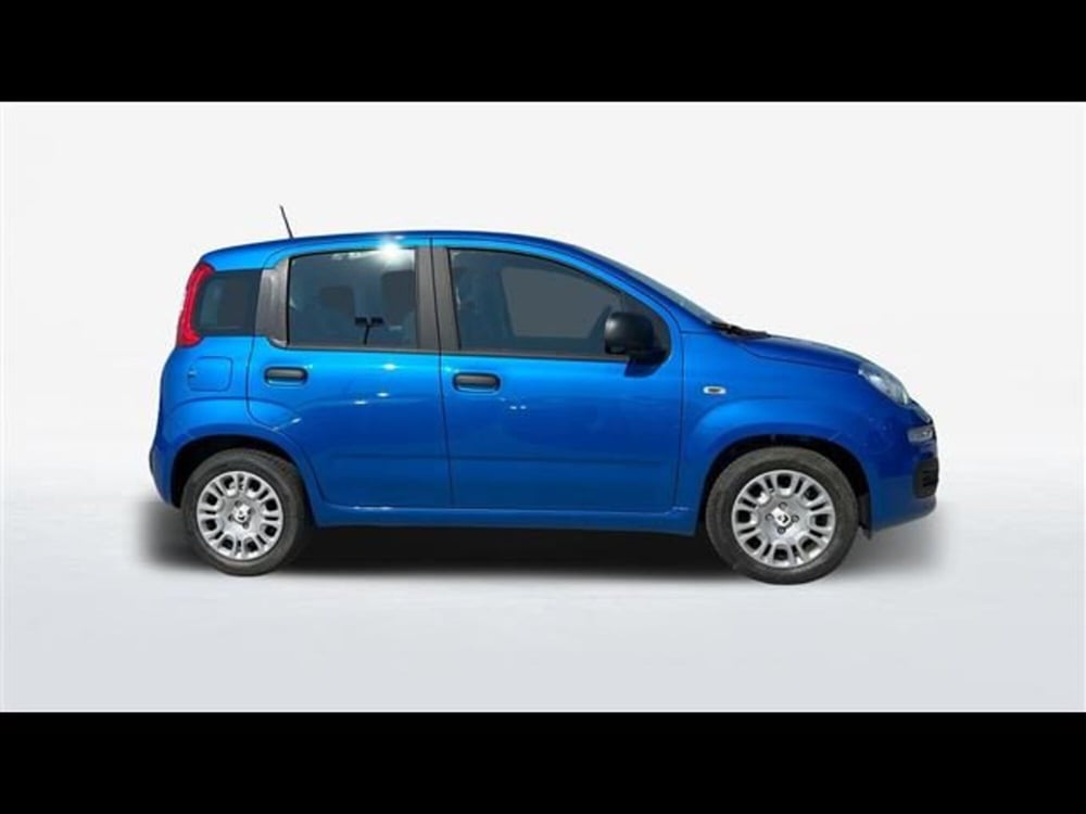 Fiat Panda usata a Firenze (4)