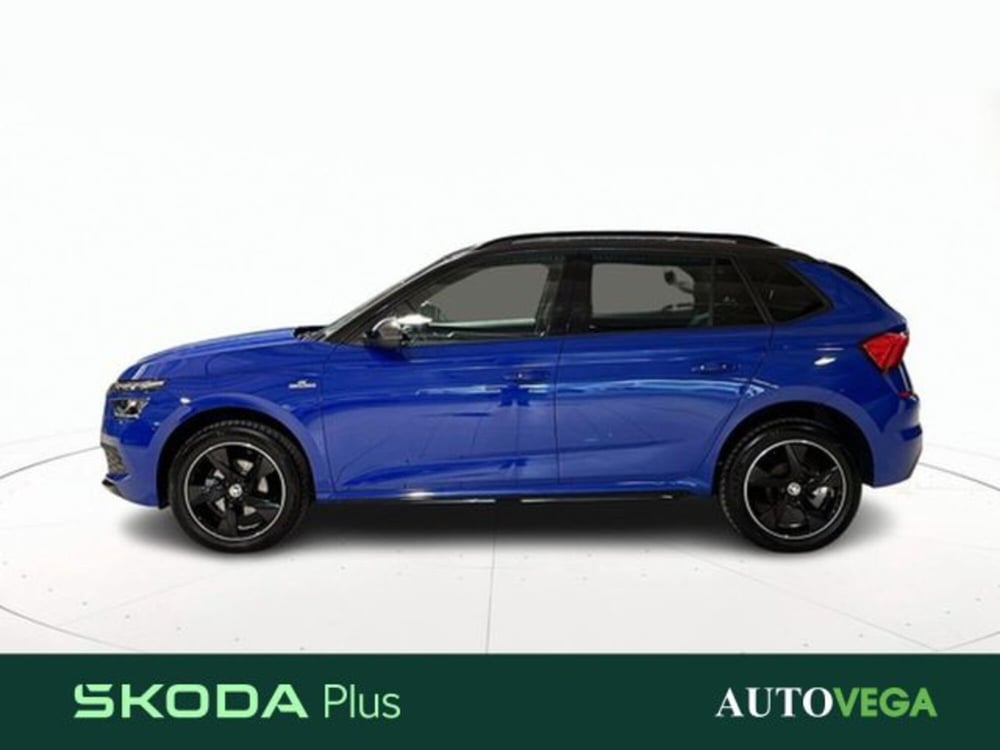 Skoda Kamiq usata a Vicenza (3)