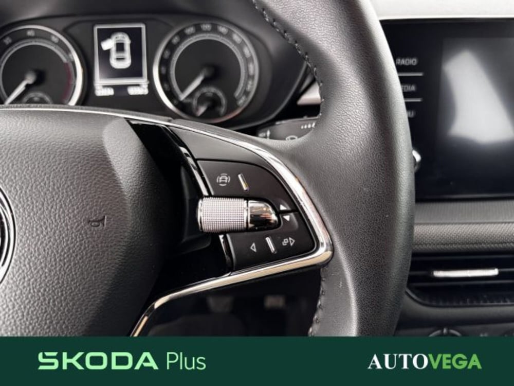 Skoda Fabia usata a Vicenza (18)