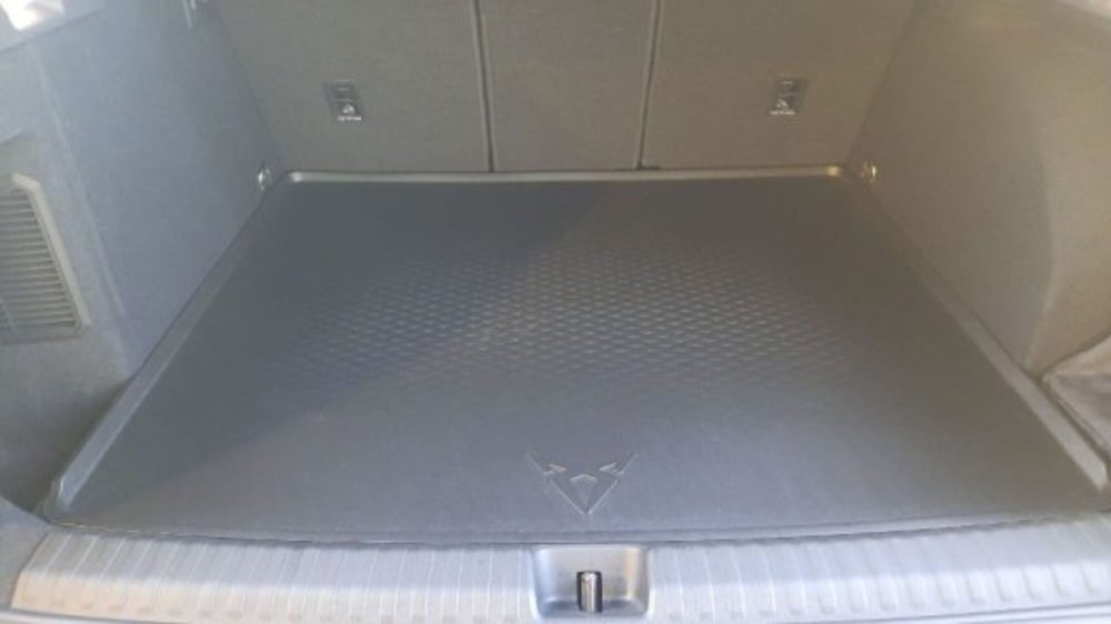 Cupra Terramar usata a Verona (15)