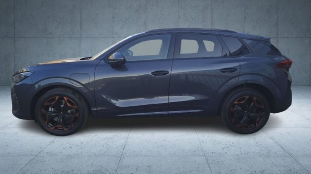 Cupra Terramar usata a Verona (2)