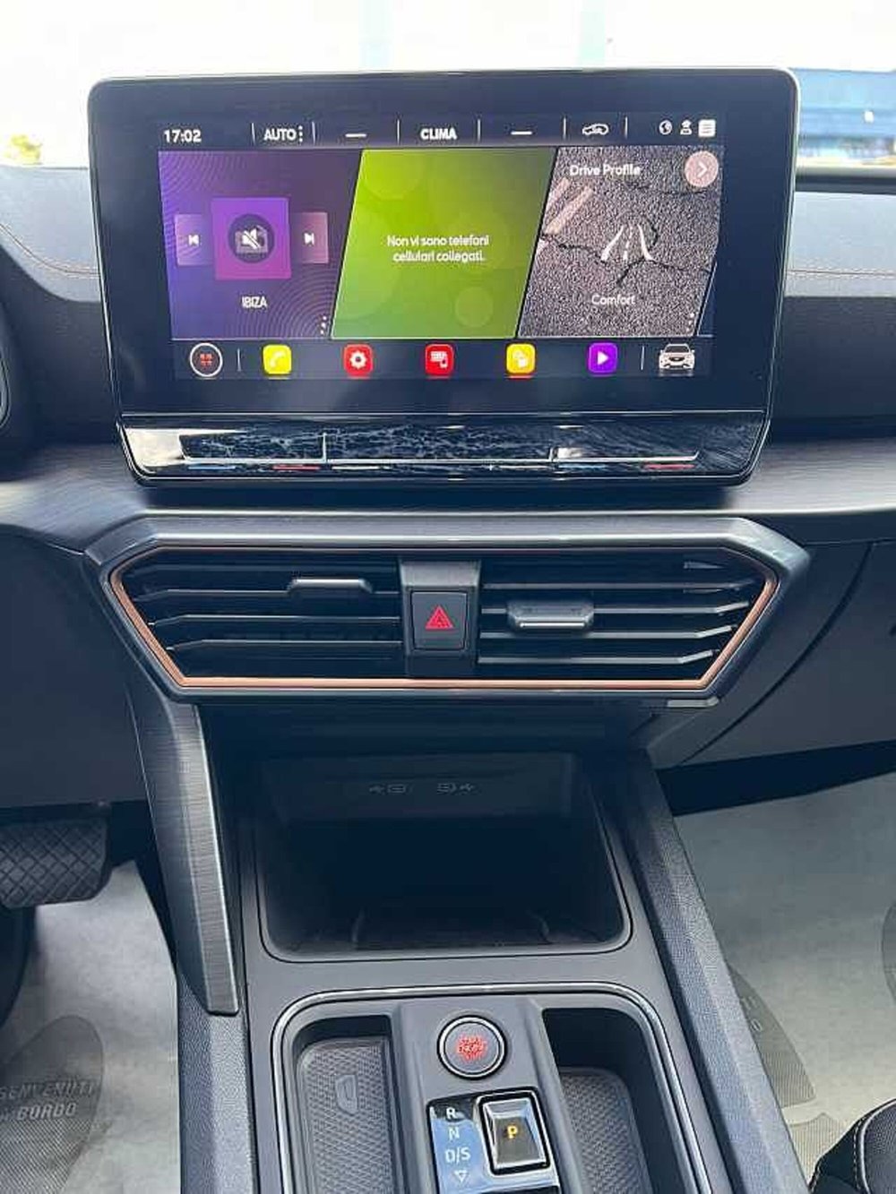 Cupra Formentor usata a Verona (15)