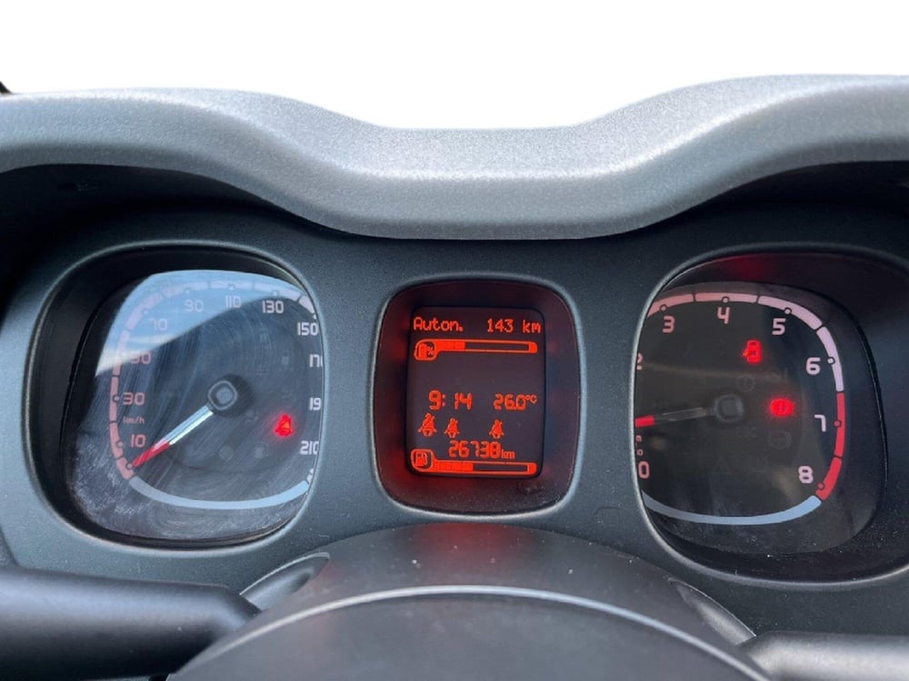 Fiat Panda Cross usata a Torino (11)