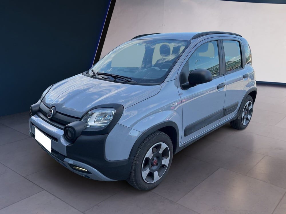 Fiat Panda Cross usata a Torino (2)