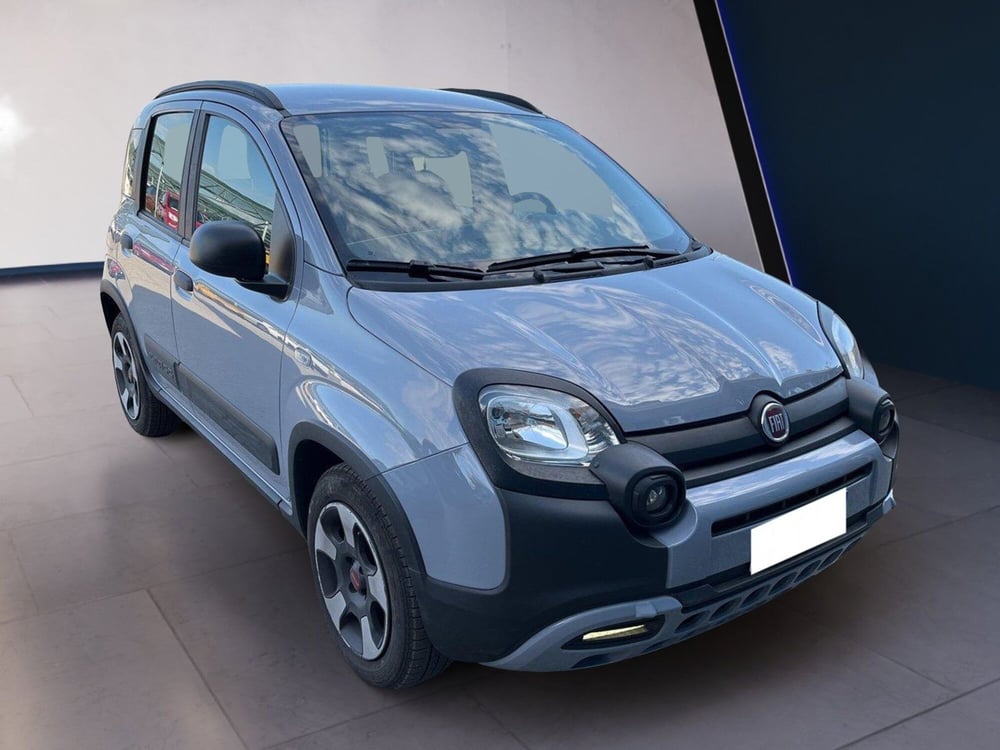 Fiat Panda Cross usata a Torino (3)