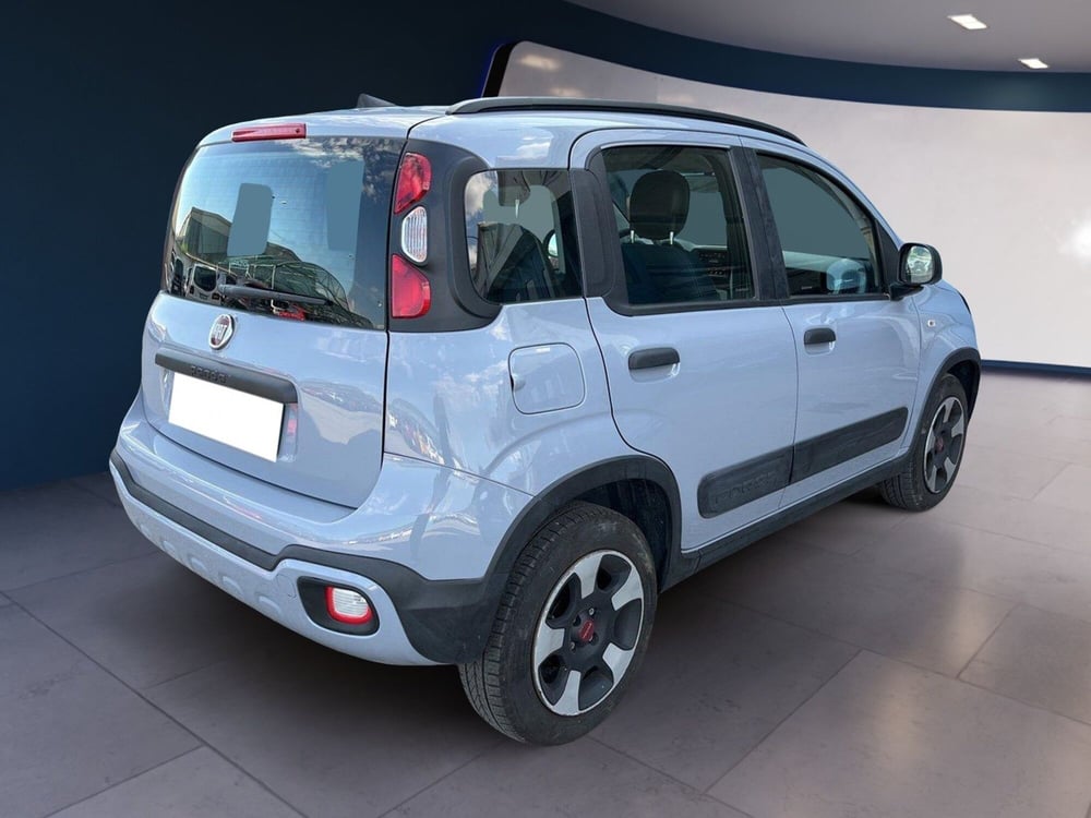 Fiat Panda Cross usata a Torino (4)
