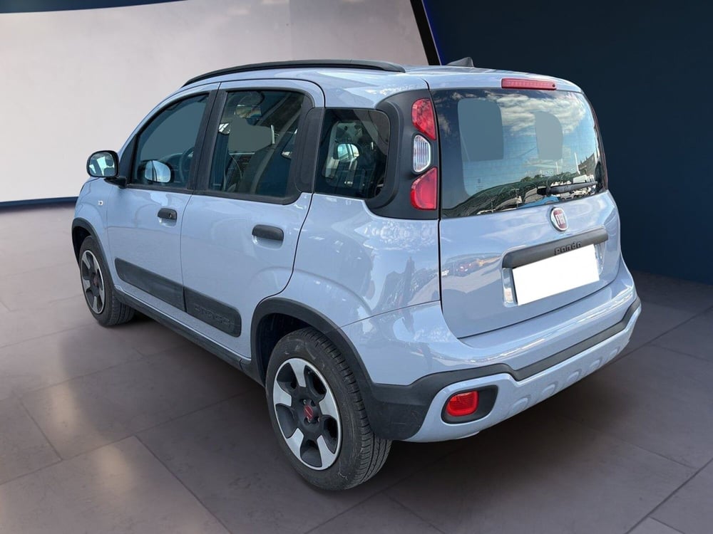 Fiat Panda Cross usata a Torino (5)