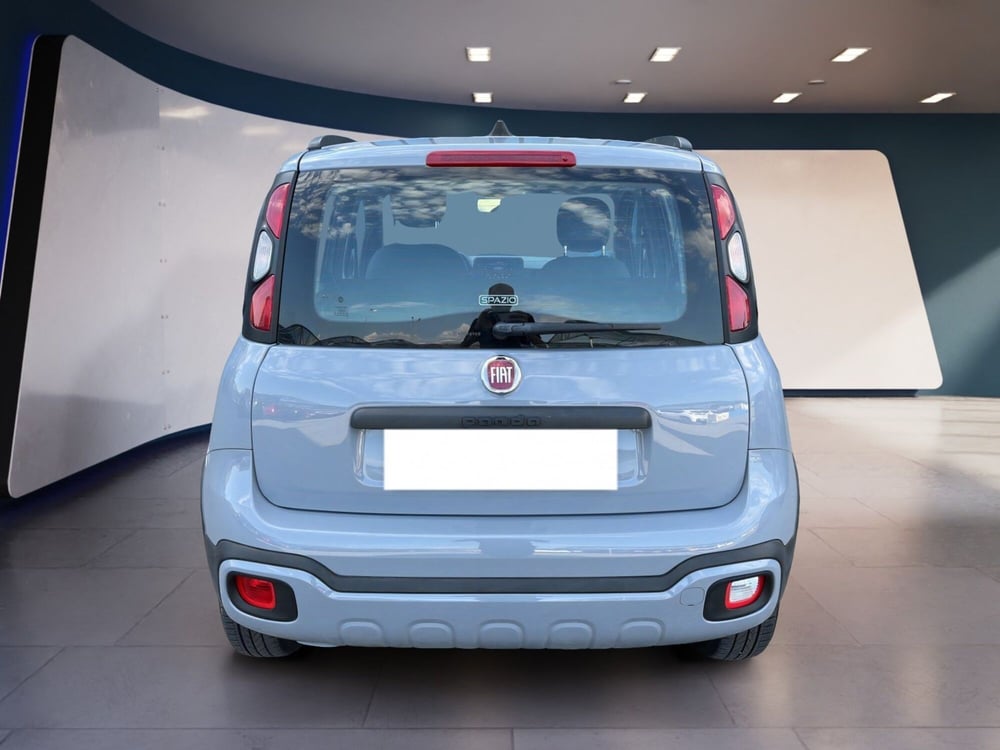 Fiat Panda Cross usata a Torino (6)