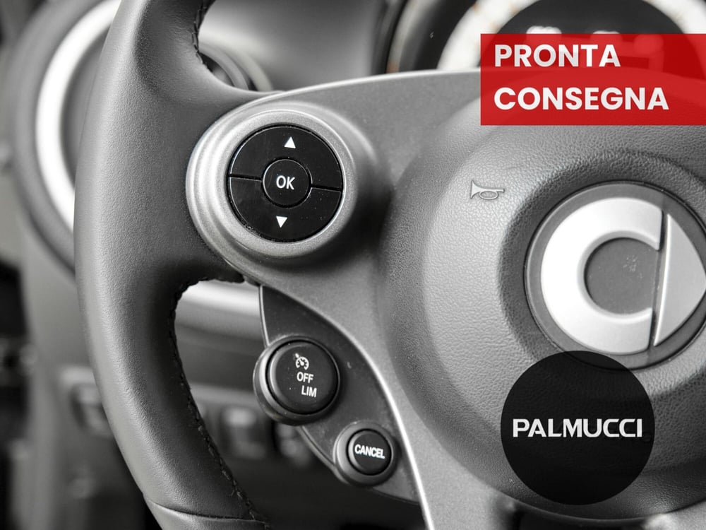 smart forfour usata a Prato (18)