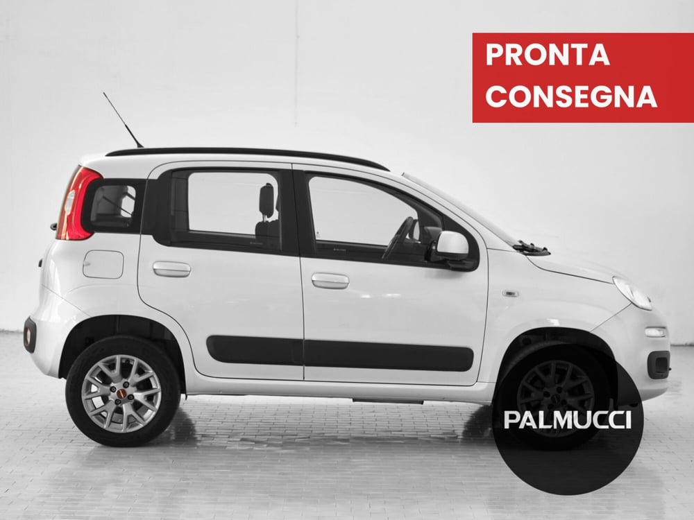 Fiat Panda usata a Prato (4)