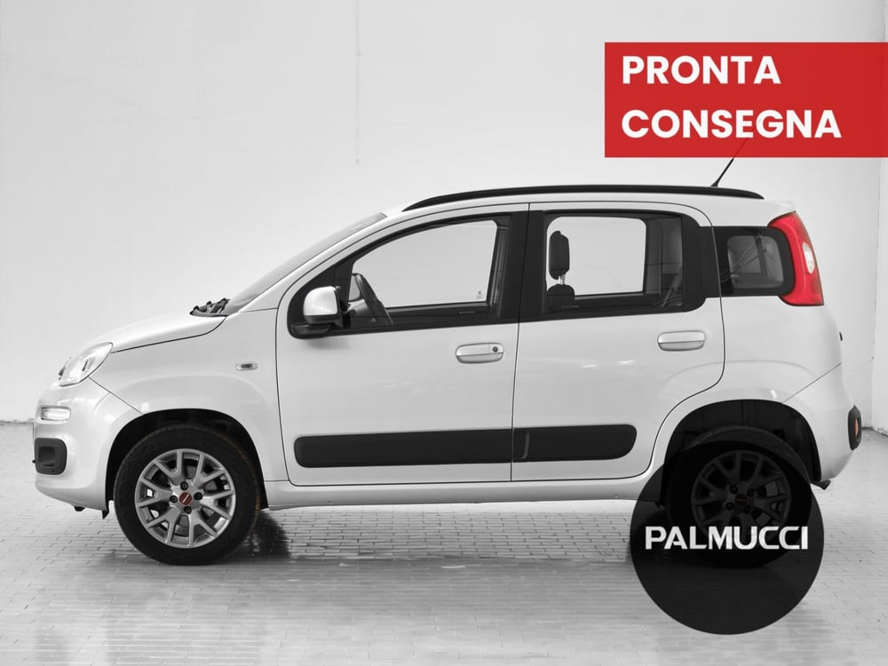 Fiat Panda usata a Prato (5)