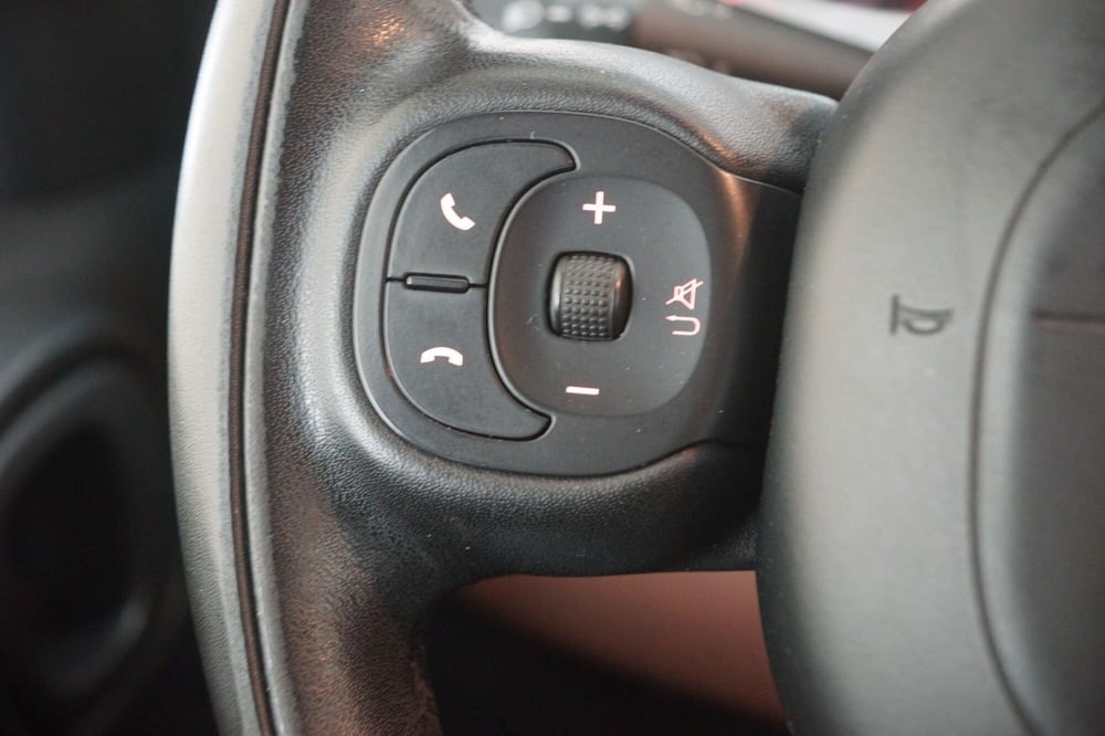 Fiat Panda Cross usata a Torino (11)