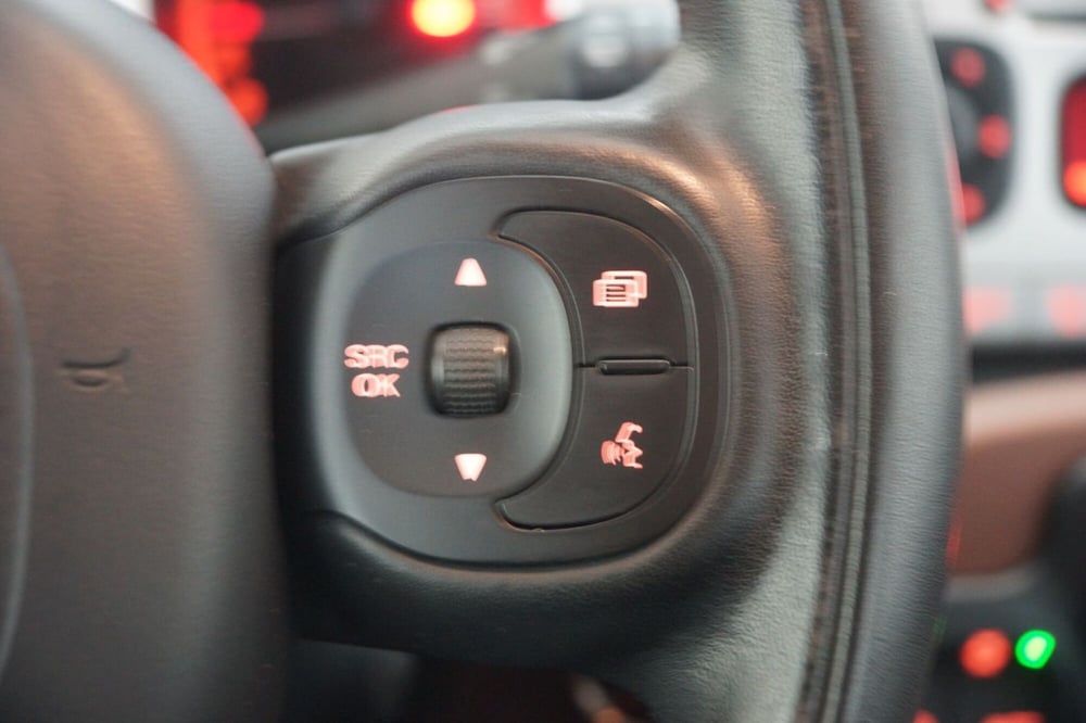 Fiat Panda Cross usata a Torino (12)