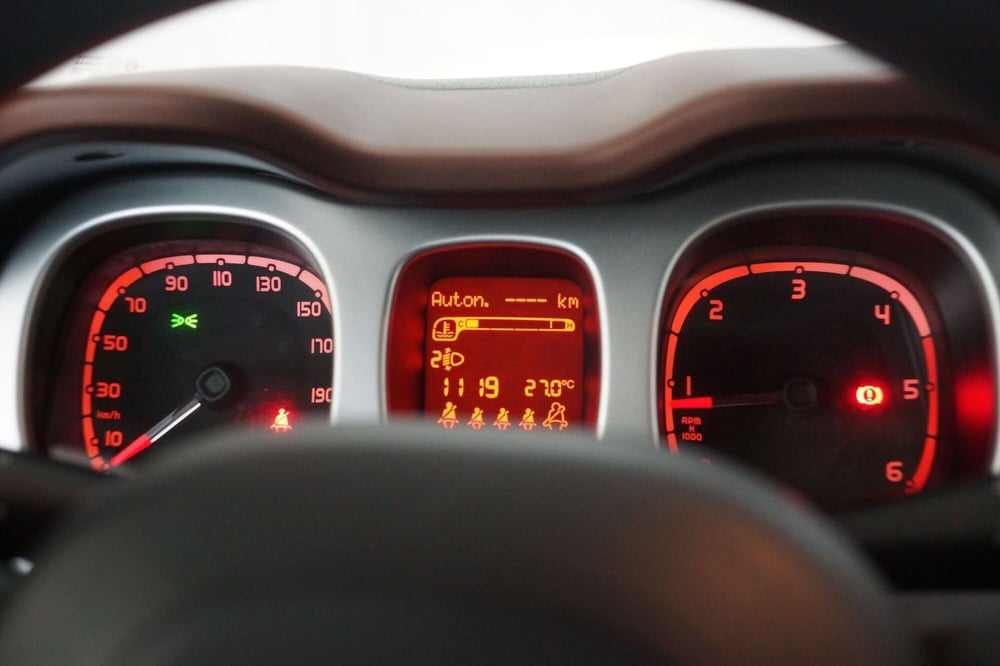 Fiat Panda Cross usata a Torino (14)