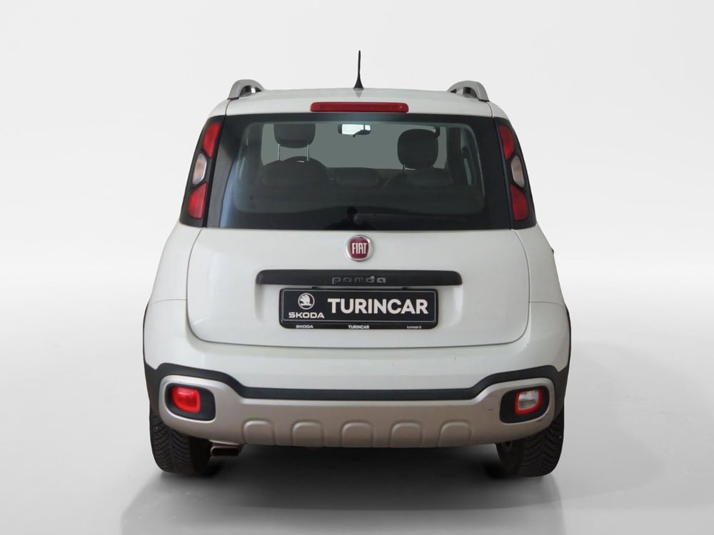 Fiat Panda Cross usata a Torino (5)