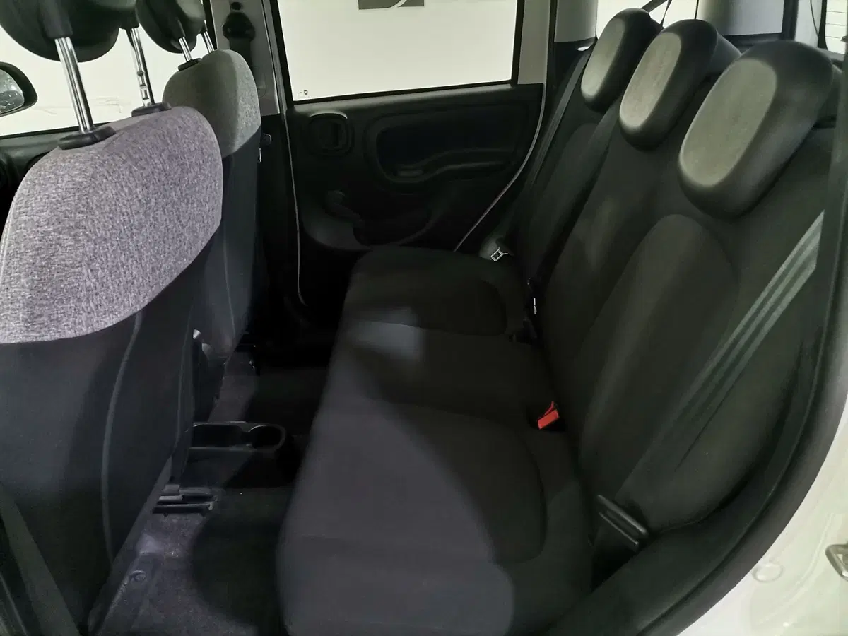 Fiat Panda Cross usata a Salerno (10)
