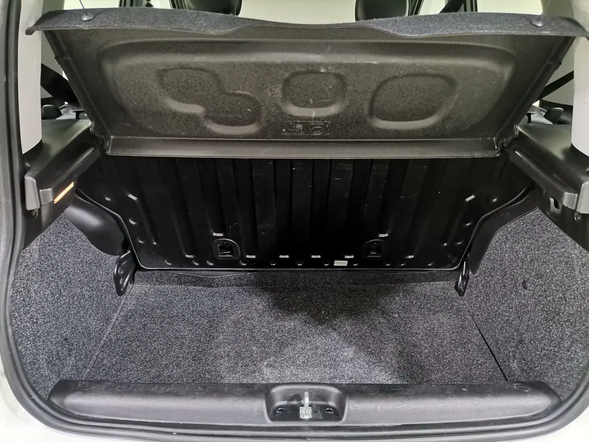 Fiat Panda Cross usata a Salerno (16)