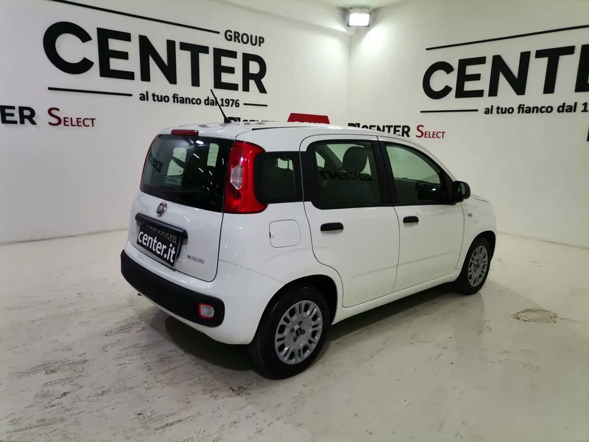 Fiat Panda Cross usata a Salerno (6)