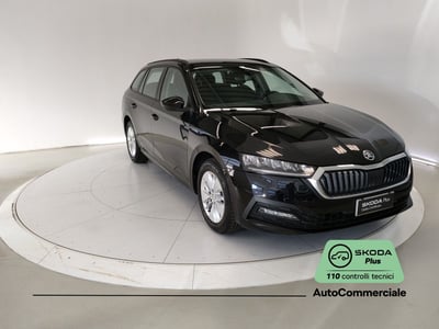 Skoda Octavia Station Wagon 2.0 TDI EVO SCR DSG Wagon Executive del 2024 usata a Bologna