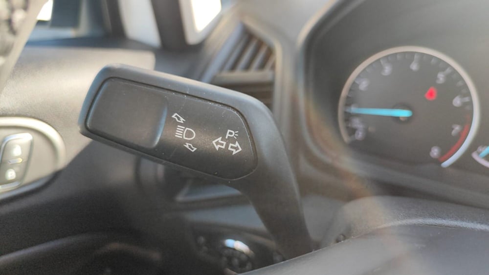 Ford EcoSport usata a Firenze (19)