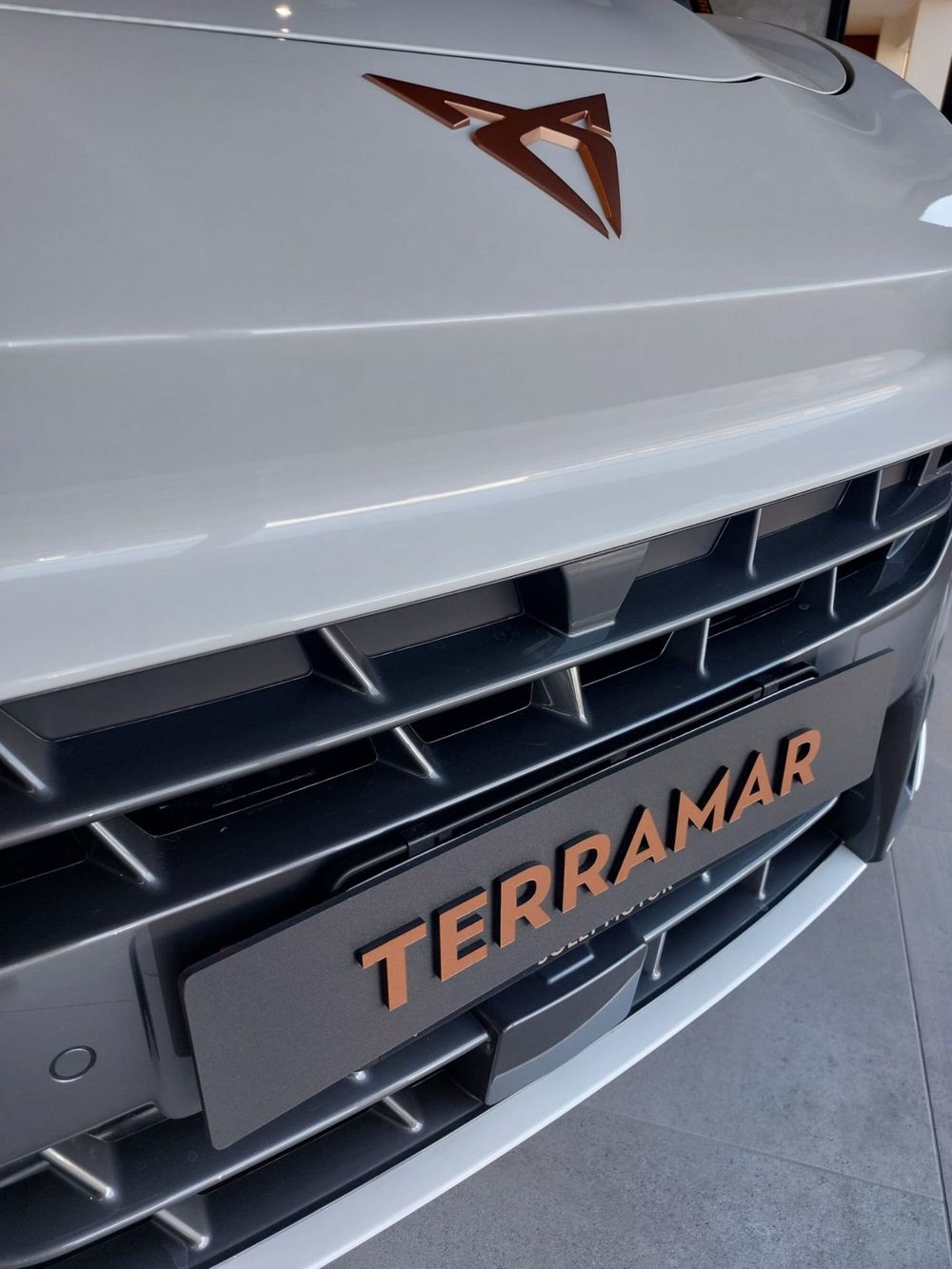 Cupra Terramar nuova a Frosinone (14)