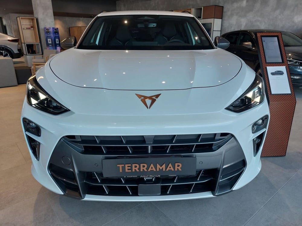 Cupra Terramar nuova a Frosinone (4)