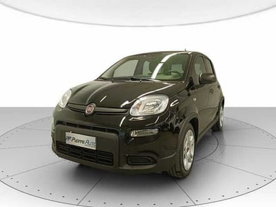 Fiat Panda 1.0 firefly hybrid Pop s&amp;s 70cv del 2024 usata a Teramo