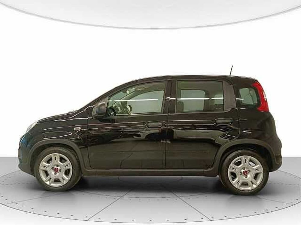 Fiat Panda usata a Teramo (2)