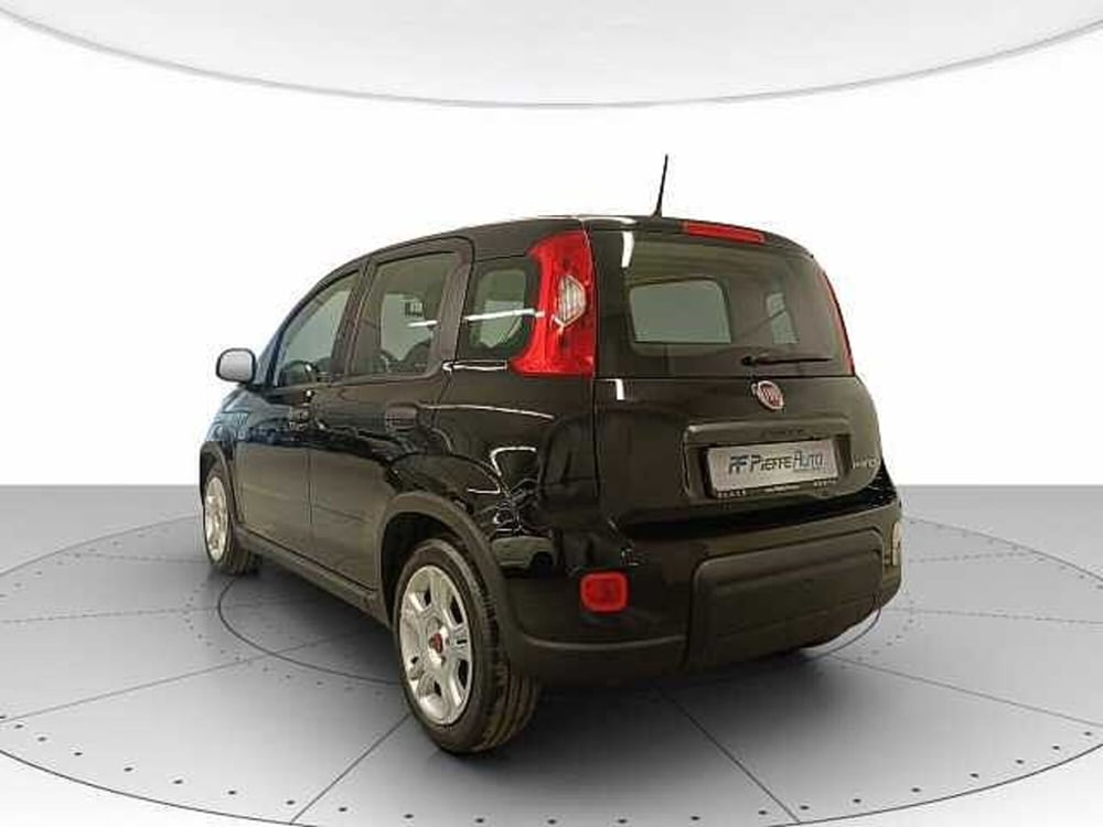 Fiat Panda usata a Teramo (3)
