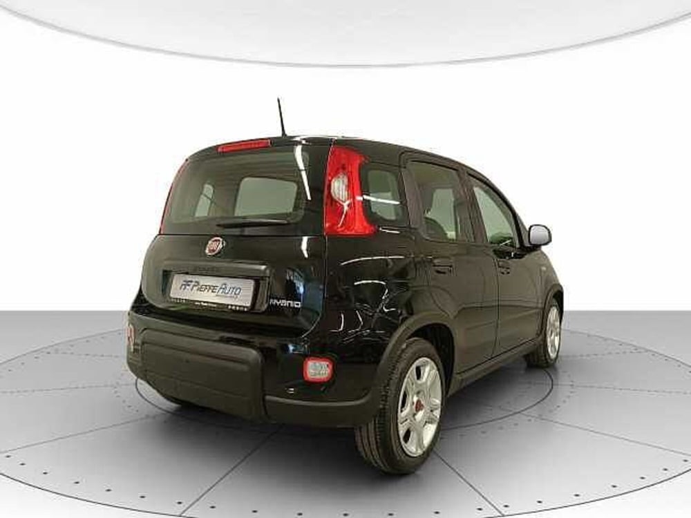 Fiat Panda usata a Teramo (4)