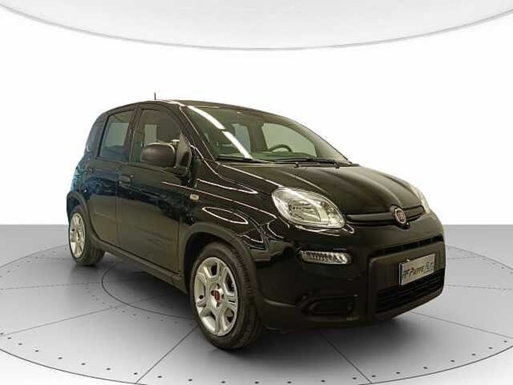 Fiat Panda usata a Teramo (6)