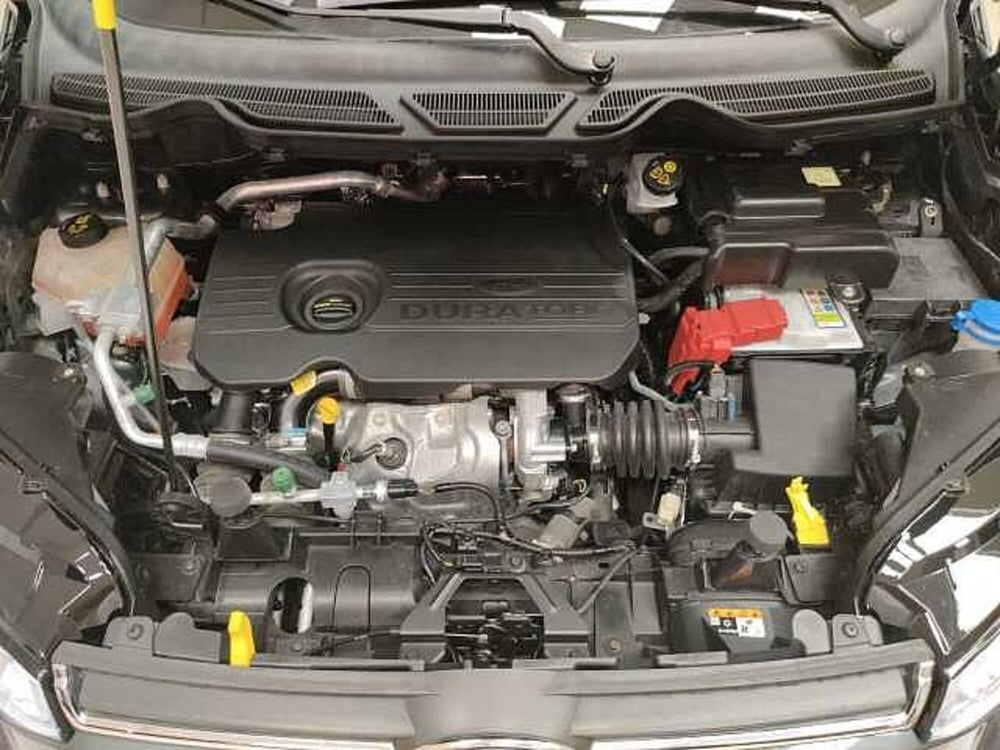 Ford EcoSport usata a Teramo (10)