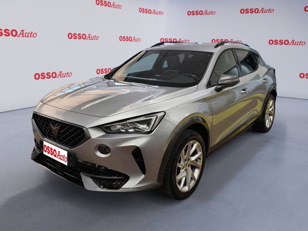 Cupra Formentor usata a Udine