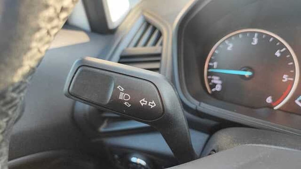 Ford EcoSport usata a Firenze (19)