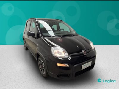 Fiat Panda 1.0 firefly hybrid s&amp;s 70cv 5p.ti del 2022 usata a Biella