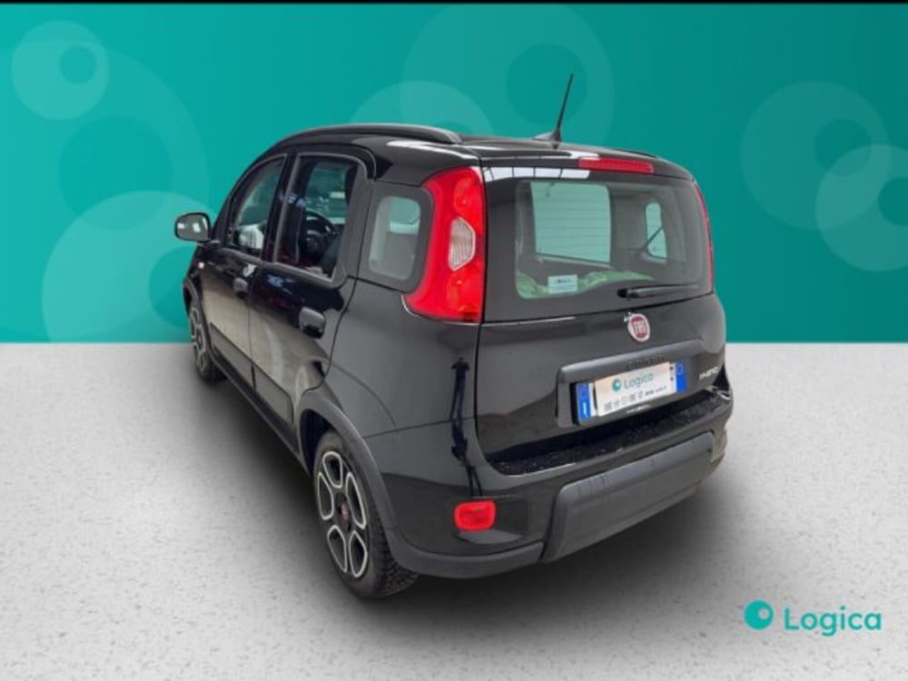 Fiat Panda usata a Biella (3)