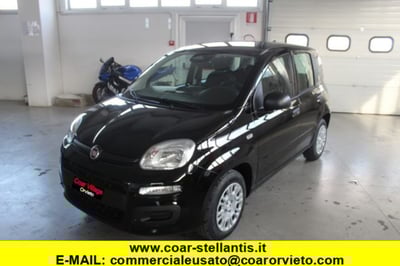 Fiat Panda 1.0 firefly hybrid s&amp;s 70cv 5p.ti nuova a Orvieto