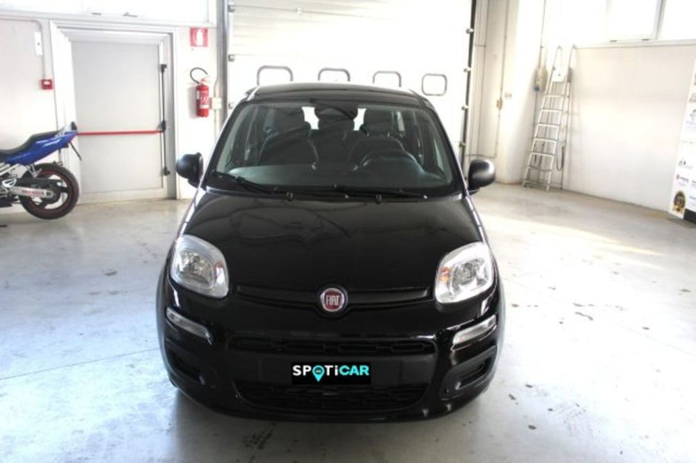 Fiat Panda nuova a Terni (2)