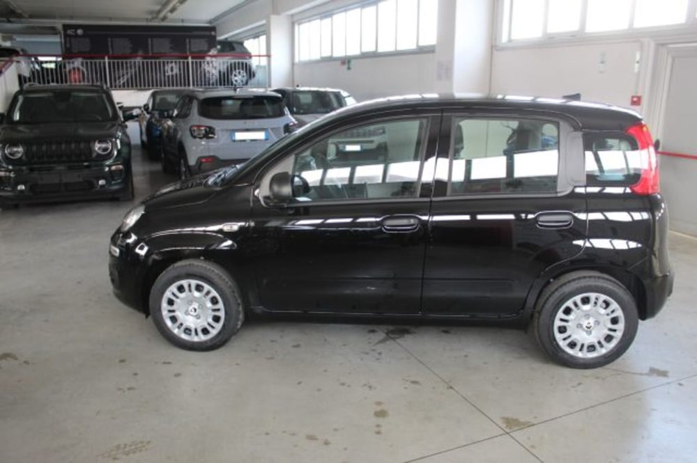 Fiat Panda nuova a Terni (3)