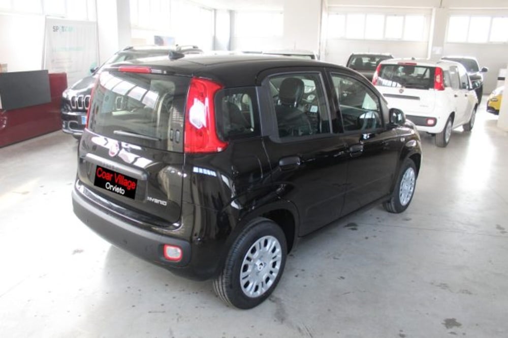 Fiat Panda nuova a Terni (4)