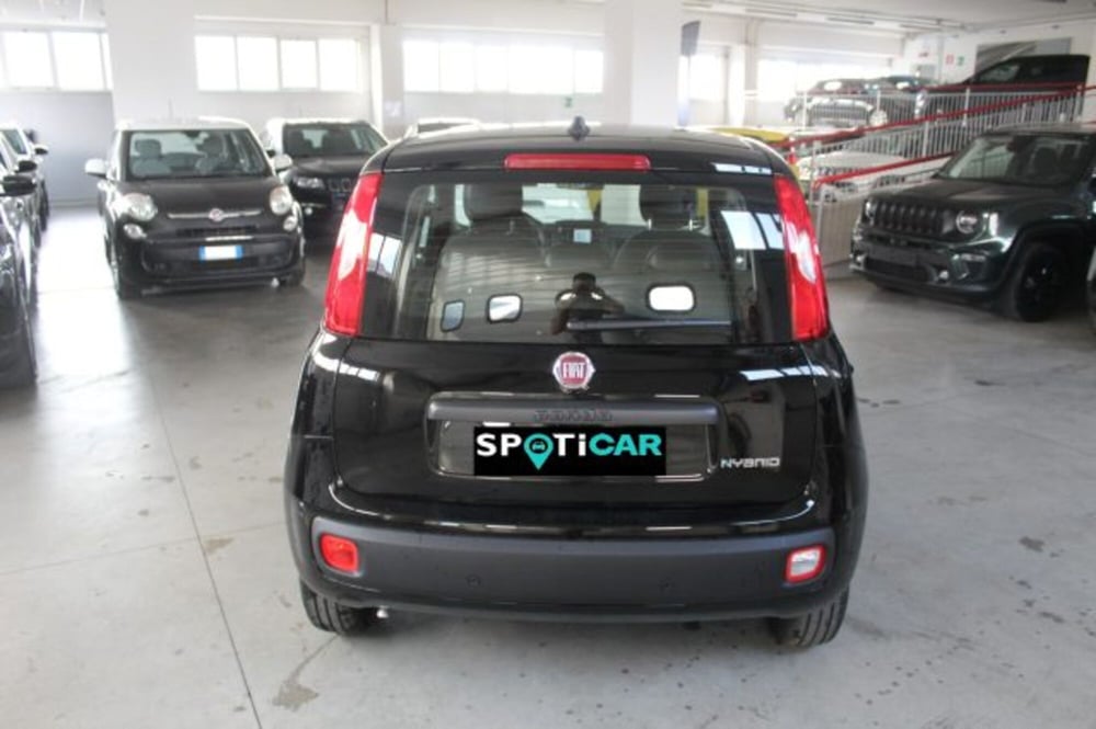 Fiat Panda nuova a Terni (5)