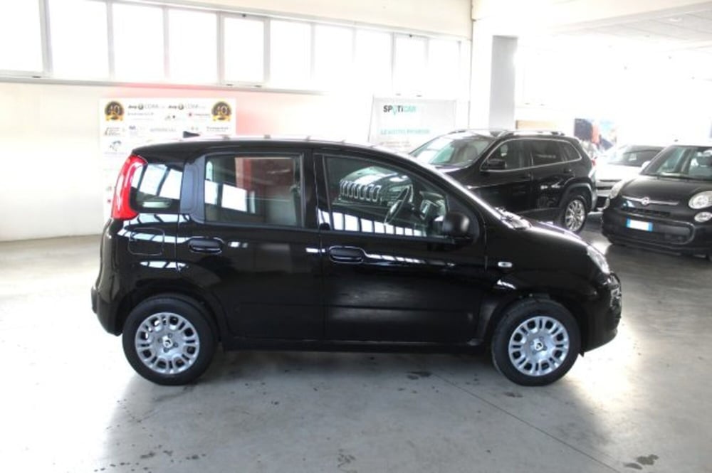 Fiat Panda nuova a Terni (6)