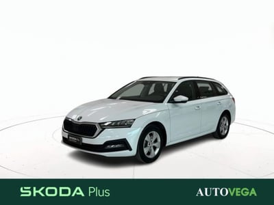 Skoda Octavia Station Wagon 2.0 tdi Executive 115cv del 2023 usata a Arzignano