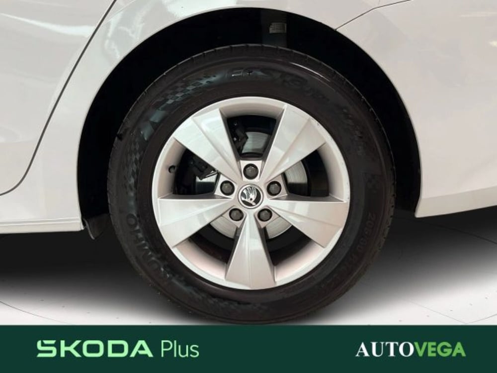 Skoda Octavia Station Wagon usata a Vicenza (15)