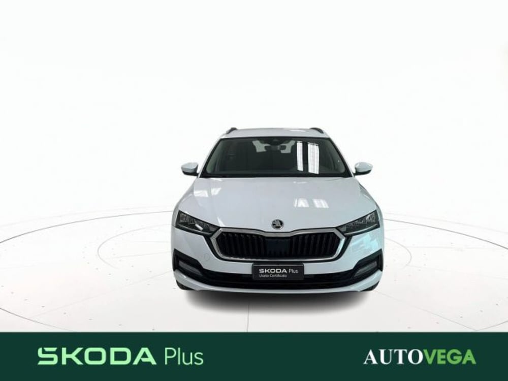 Skoda Octavia Station Wagon usata a Vicenza (2)