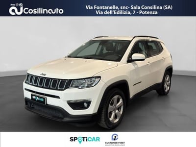 Jeep Compass 1.6 Multijet II 2WD Business del 2020 usata a Sala Consilina